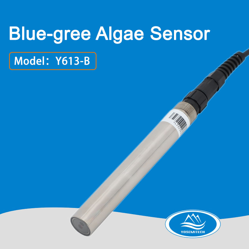 Y613-B Online Blue-gree Algae Sensor